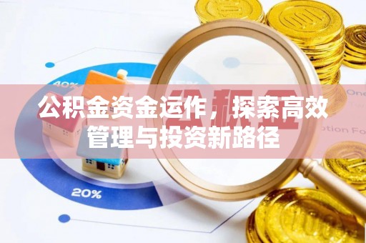 乌伊岭公积金资金运作，探索高效管理与投资新路径